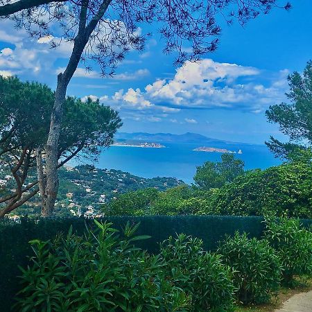 Charming & Peaceful Apartment Begur With Swimming Pool Екстериор снимка